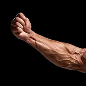 محصولات تقویت ساعد دست