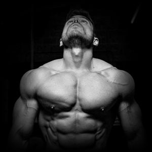 محصولات تقویت بالاتنه