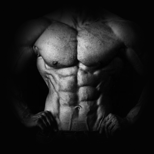 محصولات تقویت میان تنه